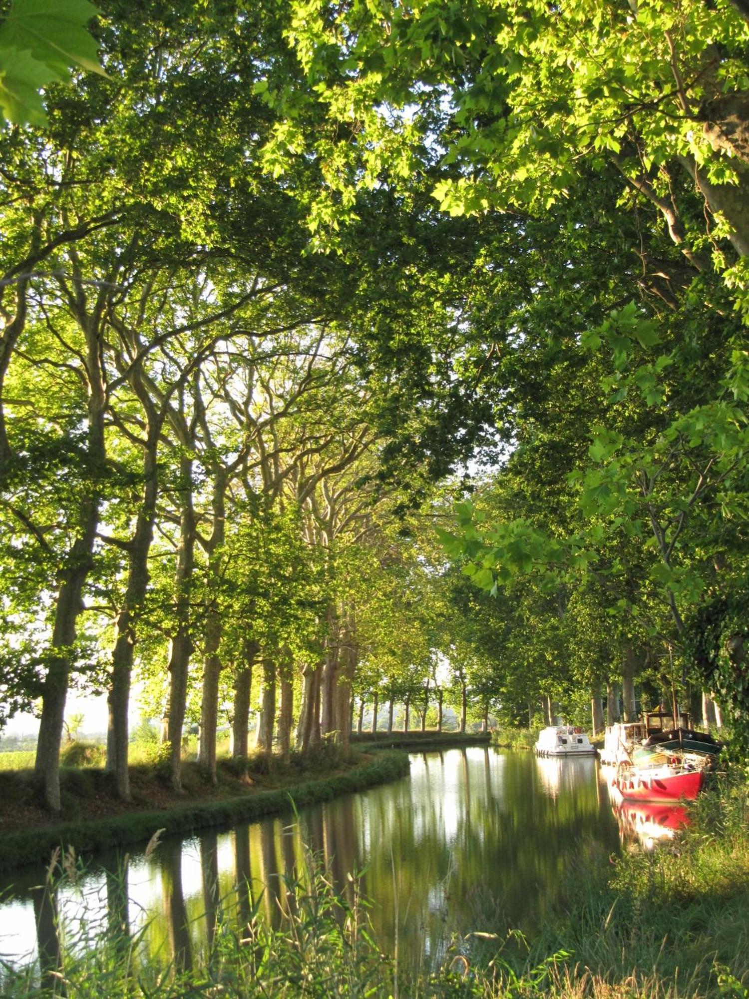 Chez Pauline & Vincent Cote Canal 卡尔卡松 外观 照片